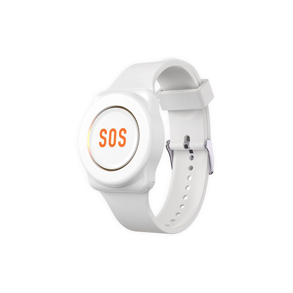 LifeBand